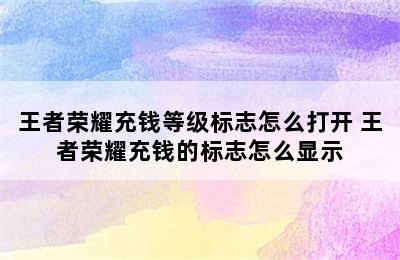 王者荣耀充钱等级标志怎么打开 王者荣耀充钱的标志怎么显示